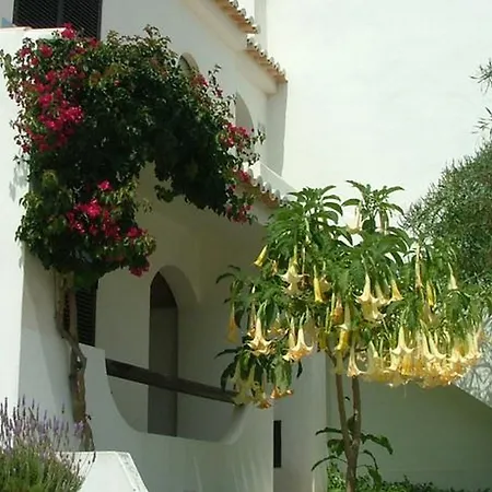 Turiquintas 3* Армасан-де-Пера
